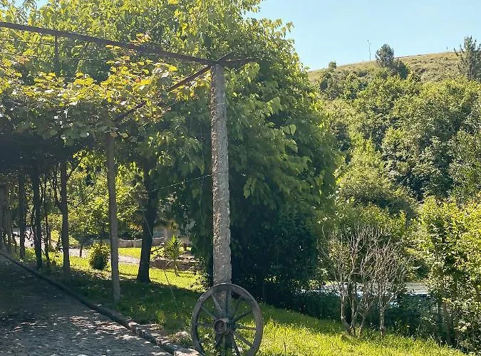 Alojamento de Acomodação e Pequeno-almoço Familiar Zona 3*